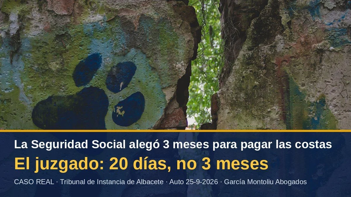Costas contra la Seguridad Social: el juzgado rechaza que la TGSS tenga 3 meses para pagar y avala la ejecución a los 20 días